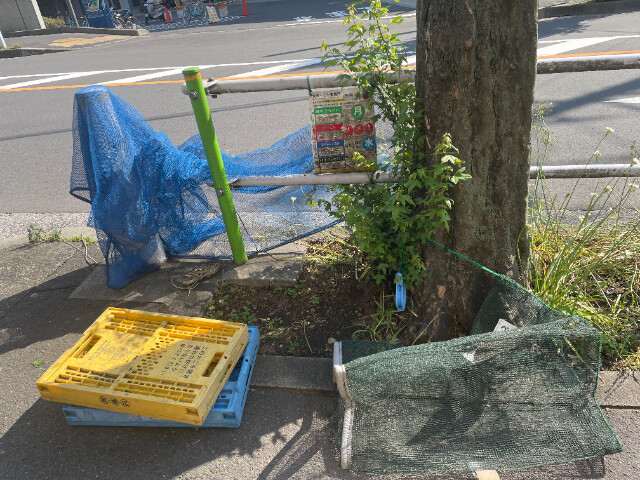 外観・土地