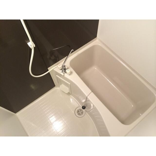 バス