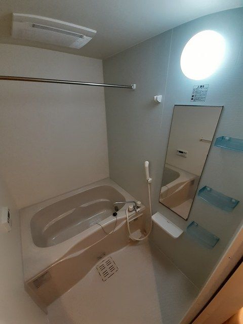 バス