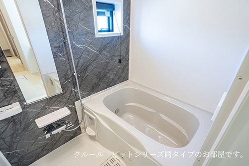 バス