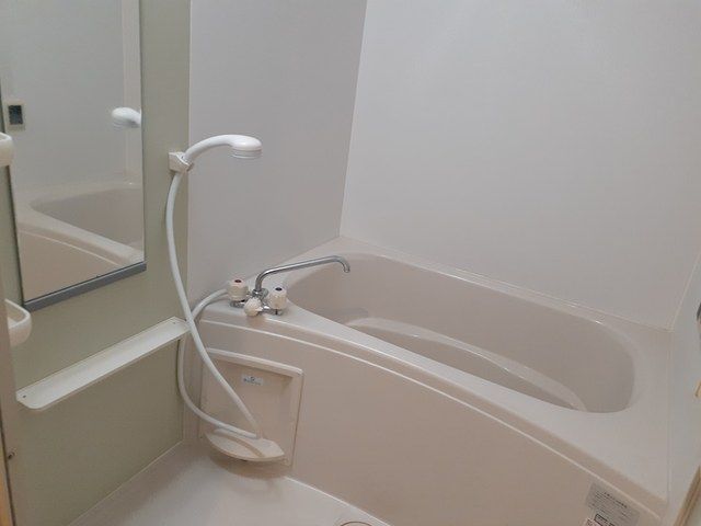 バス