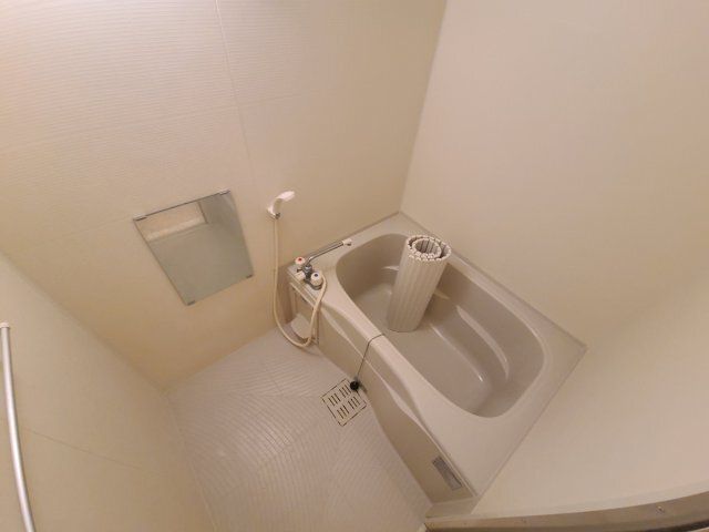 バス