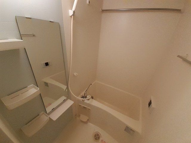 バス