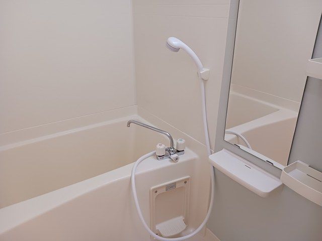 バス