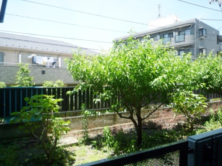 景色