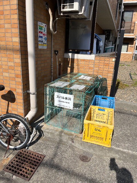 敷地内・建物