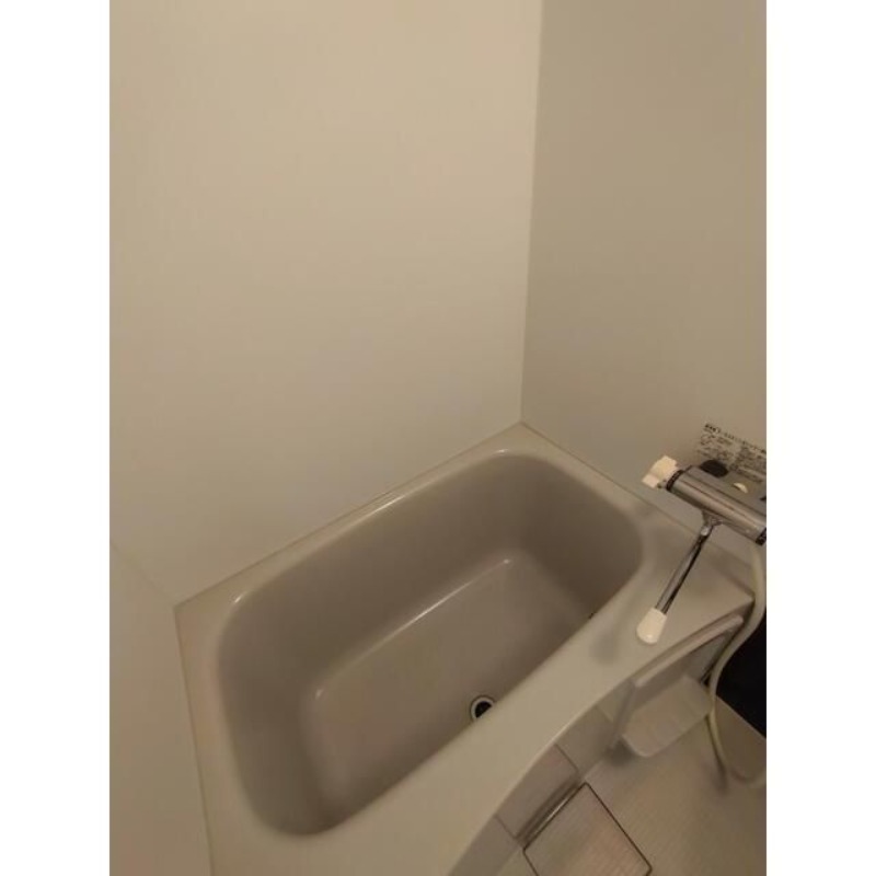 バス
