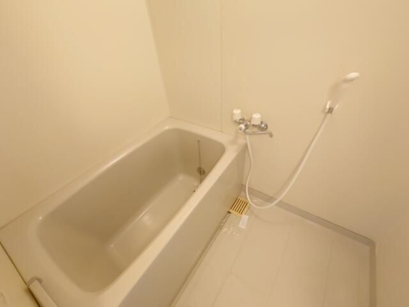 バス