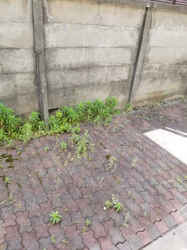 ※同建物参考写真