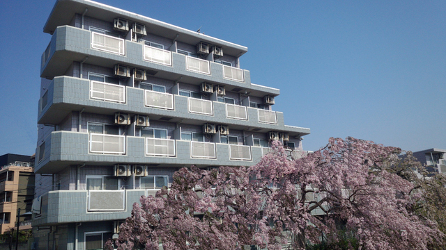 アムール祥 外観写真