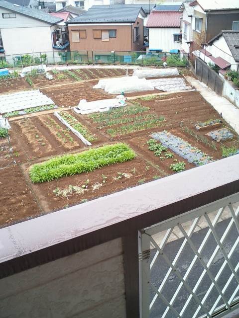 反転タイプ別号室写真