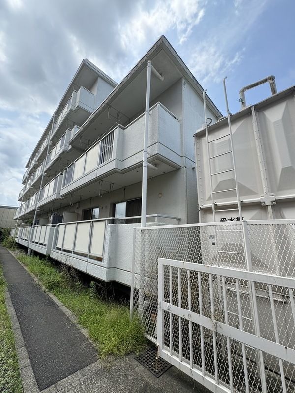 参考写真