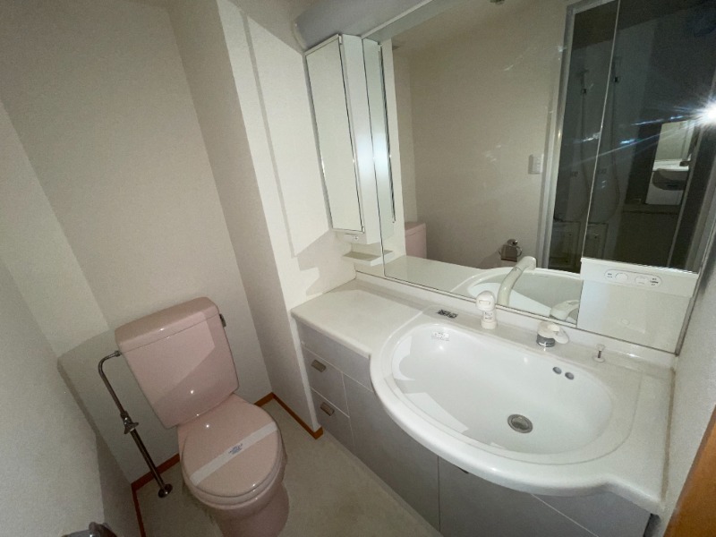 【同タイプ別部屋写真】ワイトタイプ洗面台