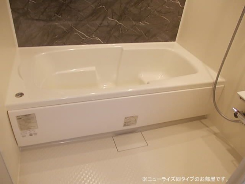 バス