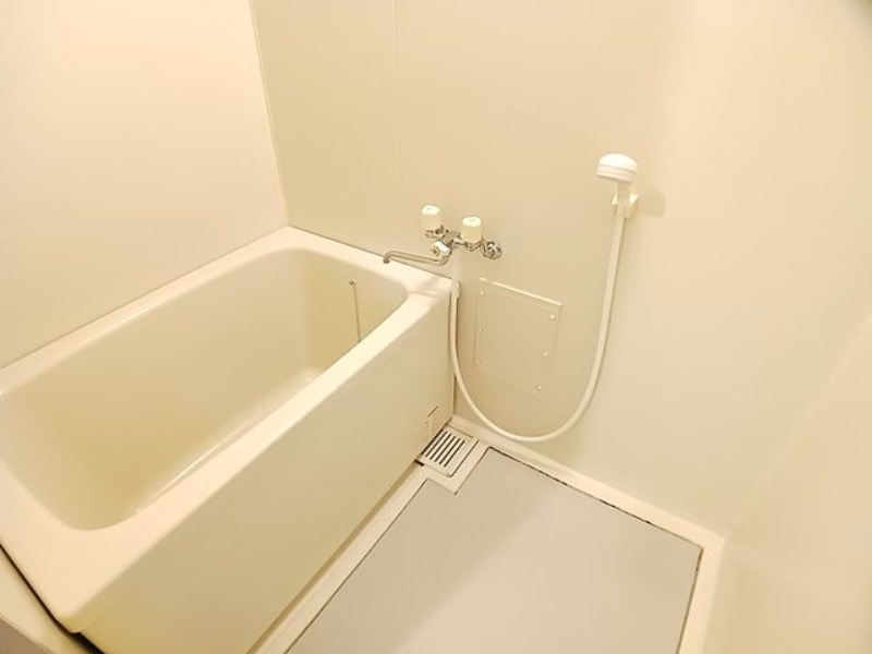 バス