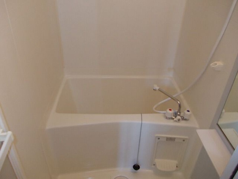バス
