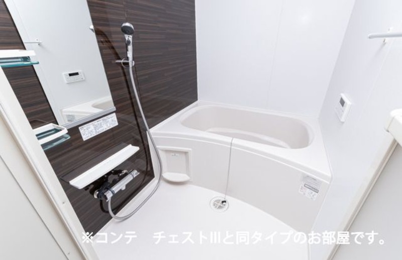 バス