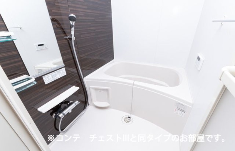 バス