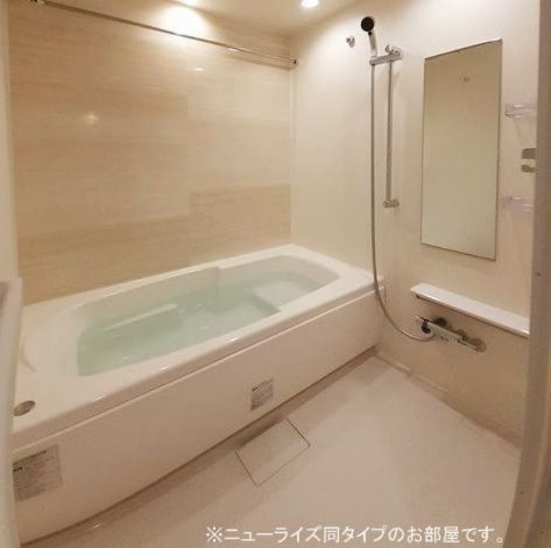 バス