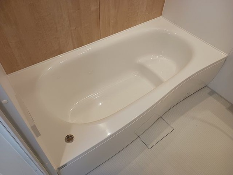 バス