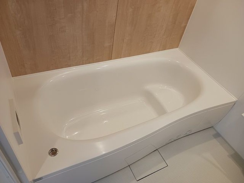 バス