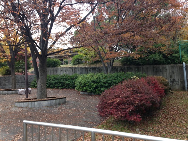 都立赤塚公園 50m