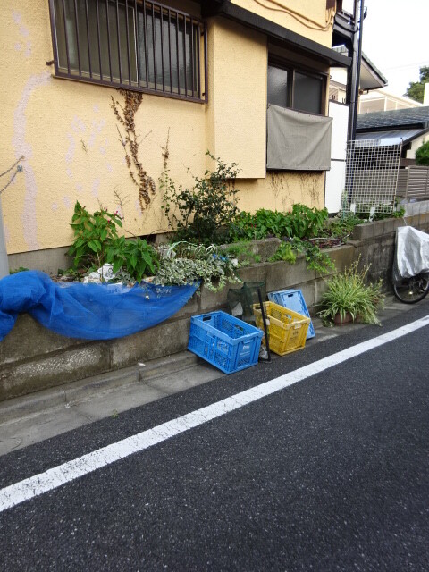 外観3