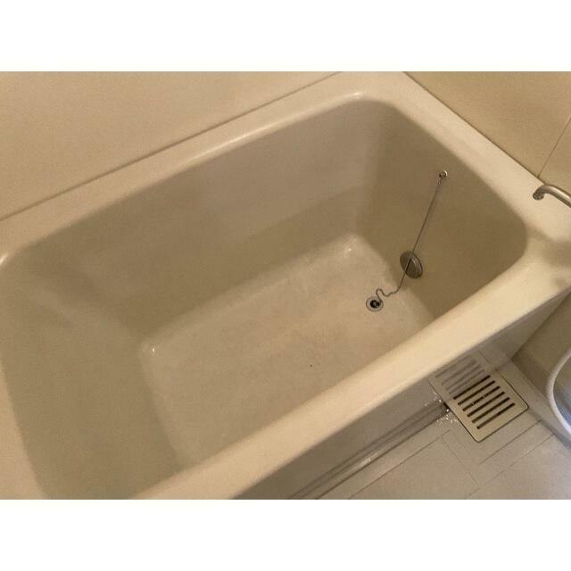 バス