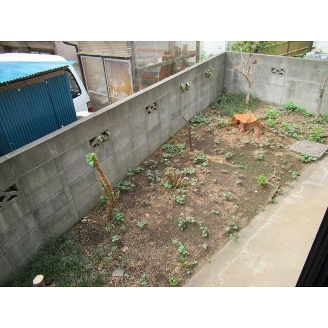 庭