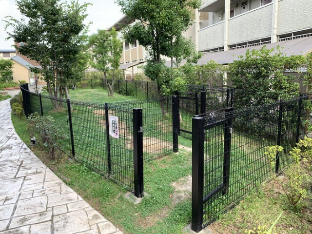ドッグラン
