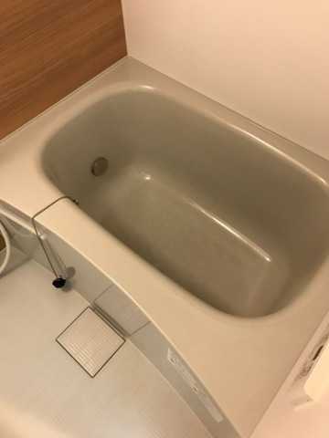 バス