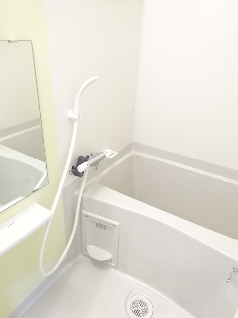 バス